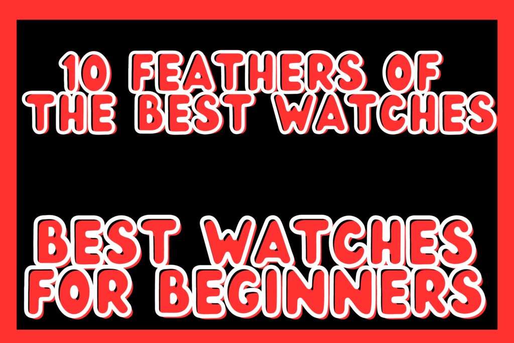 10 feathers of the best watches-best watches for beginners