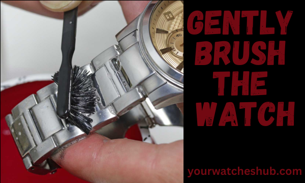 Gently Brush the Watch Gently Brush the Watch