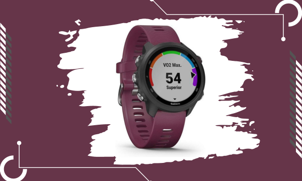 Garmin Forerunner 245, GPS Running Smartwatch